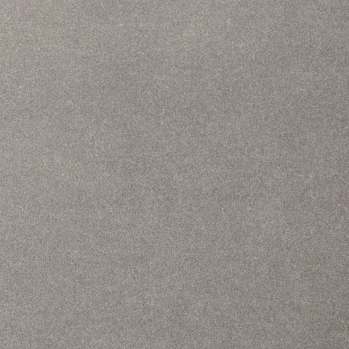 Heltäckningsmatta City Life Feeling 94 500cm, Grå