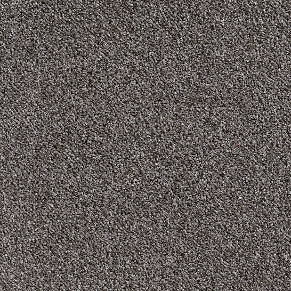 Heltäckningsmatta City Life Ambience 97 500cm, Grå