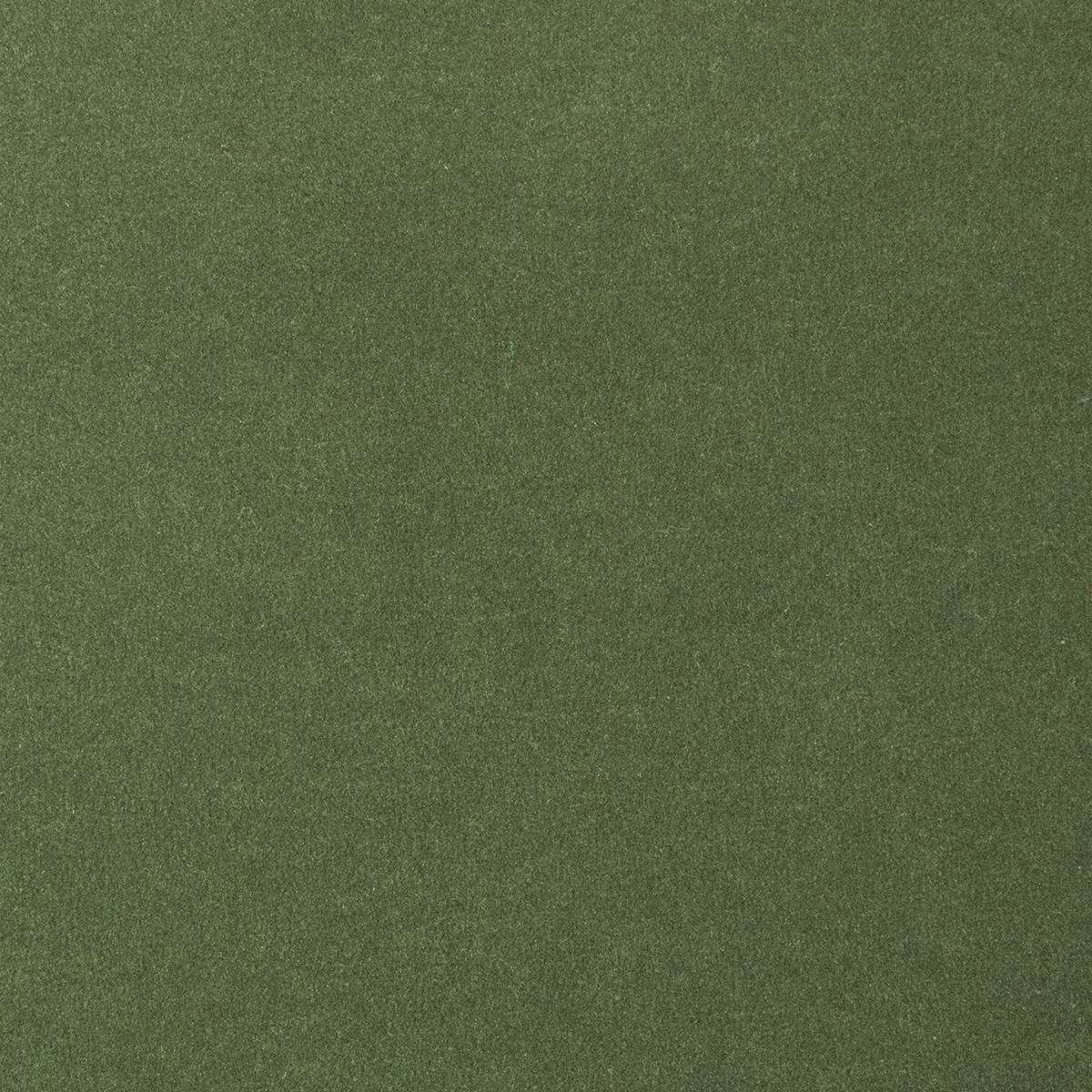 Heltäckningsmatta World Life Feeling 24 500cm, Grön