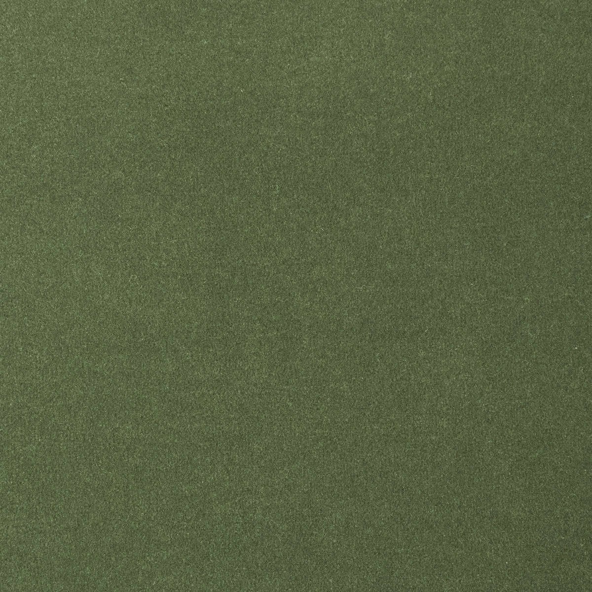 Heltäckningsmatta World Life Feeling 24 400cm, Grön