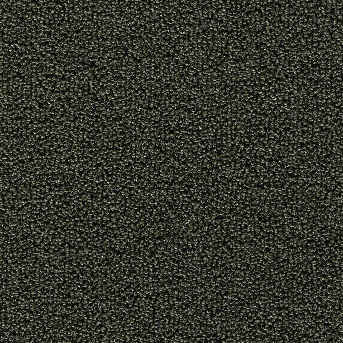 Heltäckningsmatta World Life Pride 24 500cm, Grön