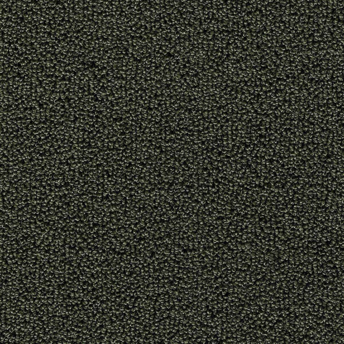 Heltäckningsmatta World Life Pride 24 400cm, Grön