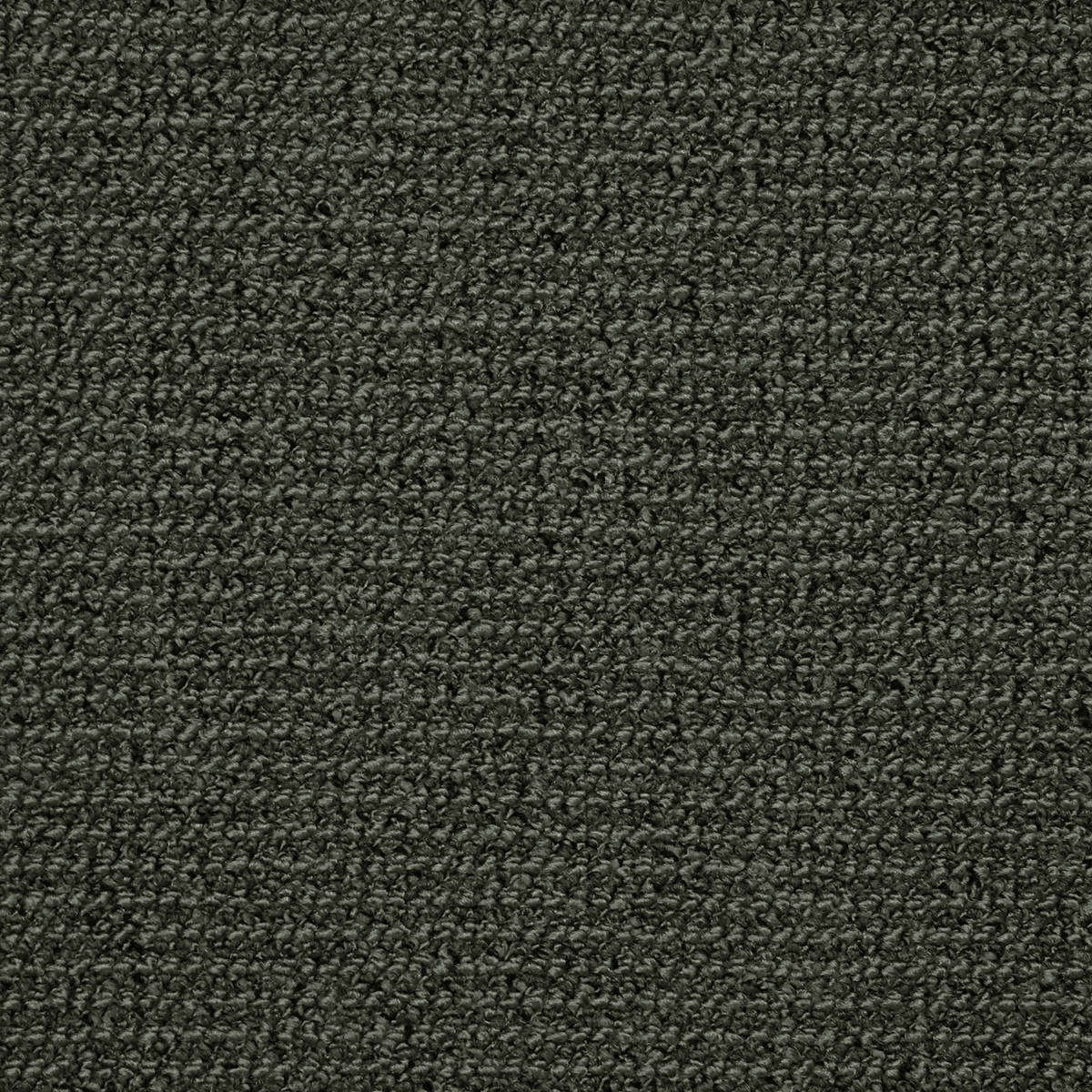 Heltäckningsmatta World Life Fame 29 500cm, Grön