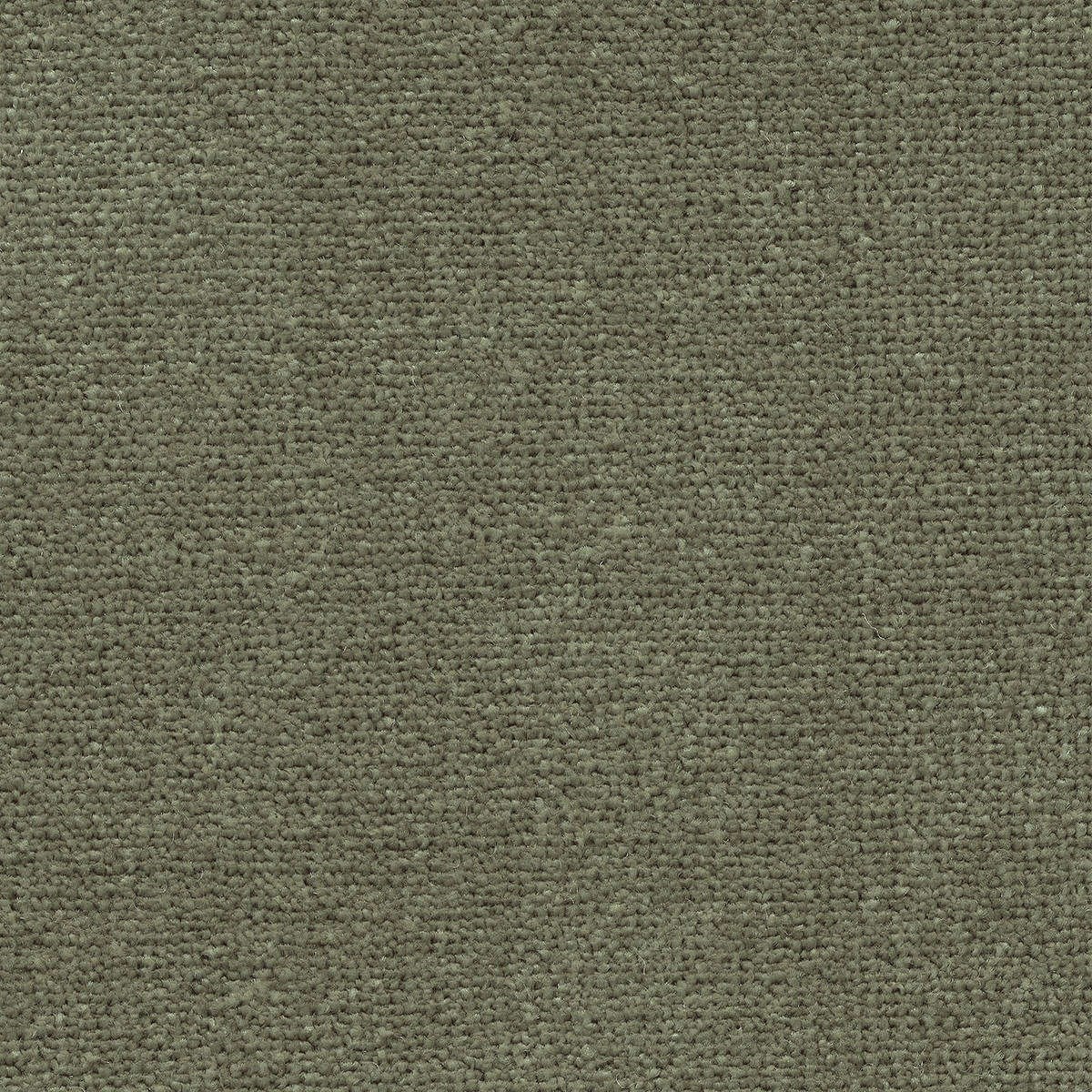 Heltäckningsmatta World Life Triumph 29 500cm, Grön