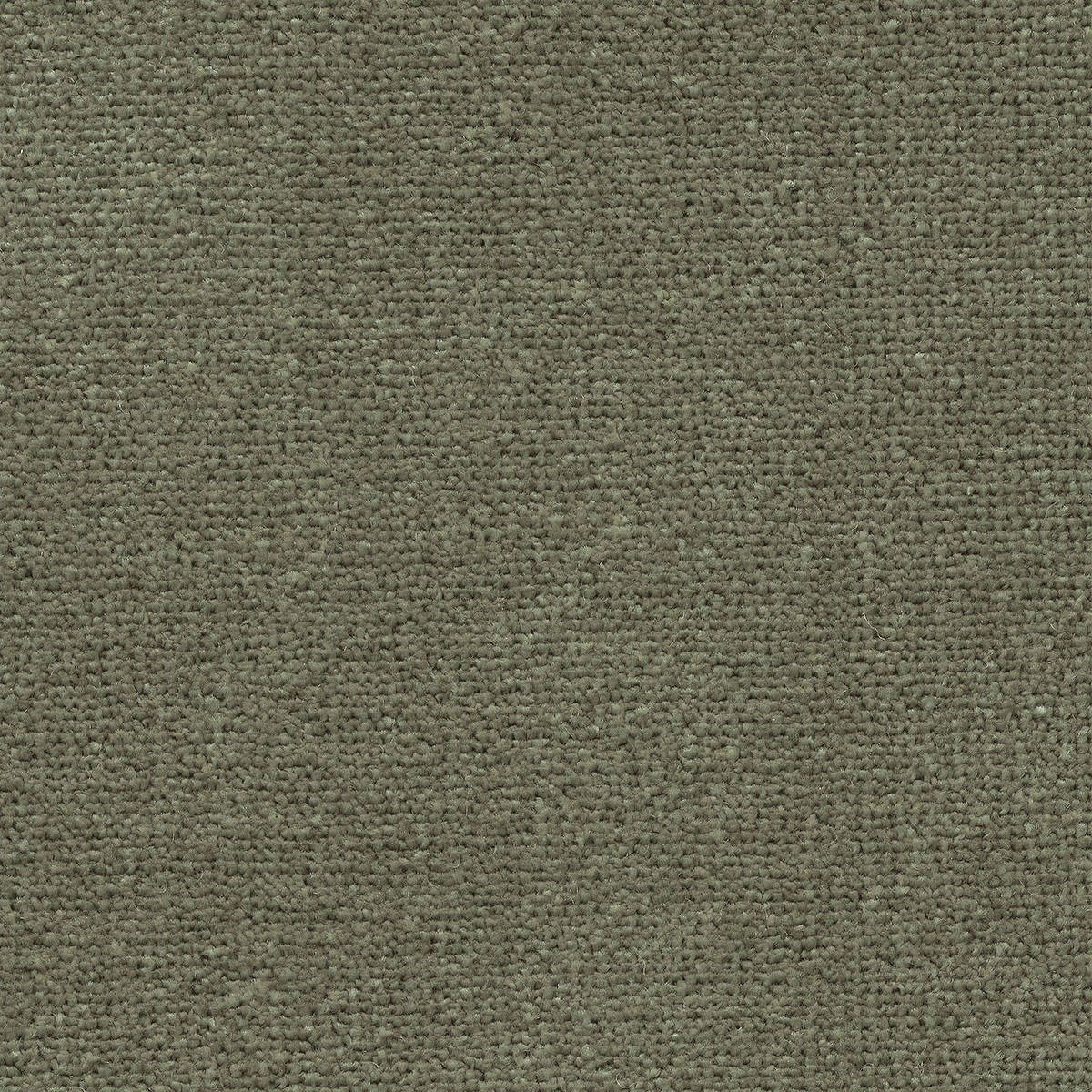 Heltäckningsmatta World Life Triumph 29 400cm, Grön