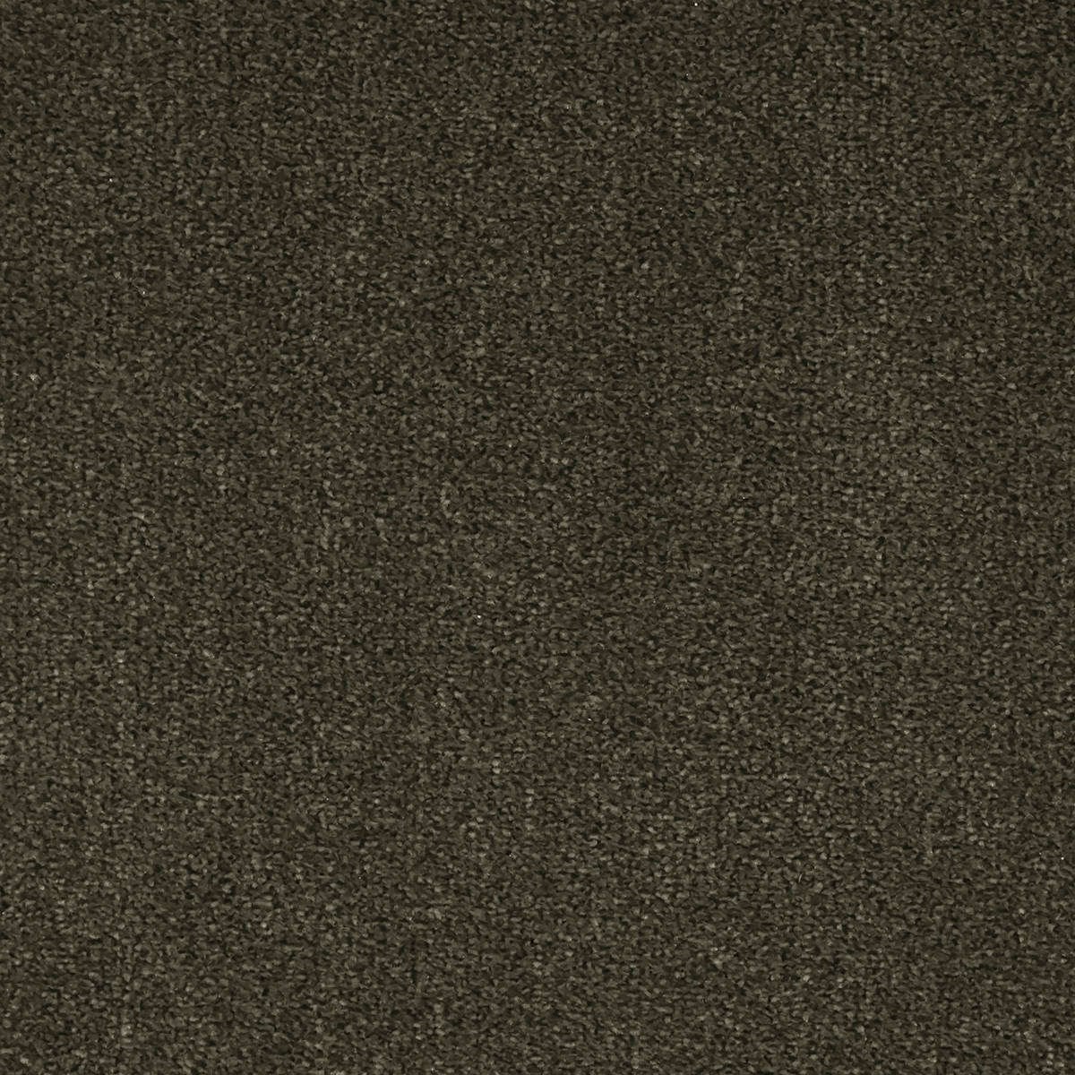 Heltäckningsmatta World Life Zen 29 500cm, Grön