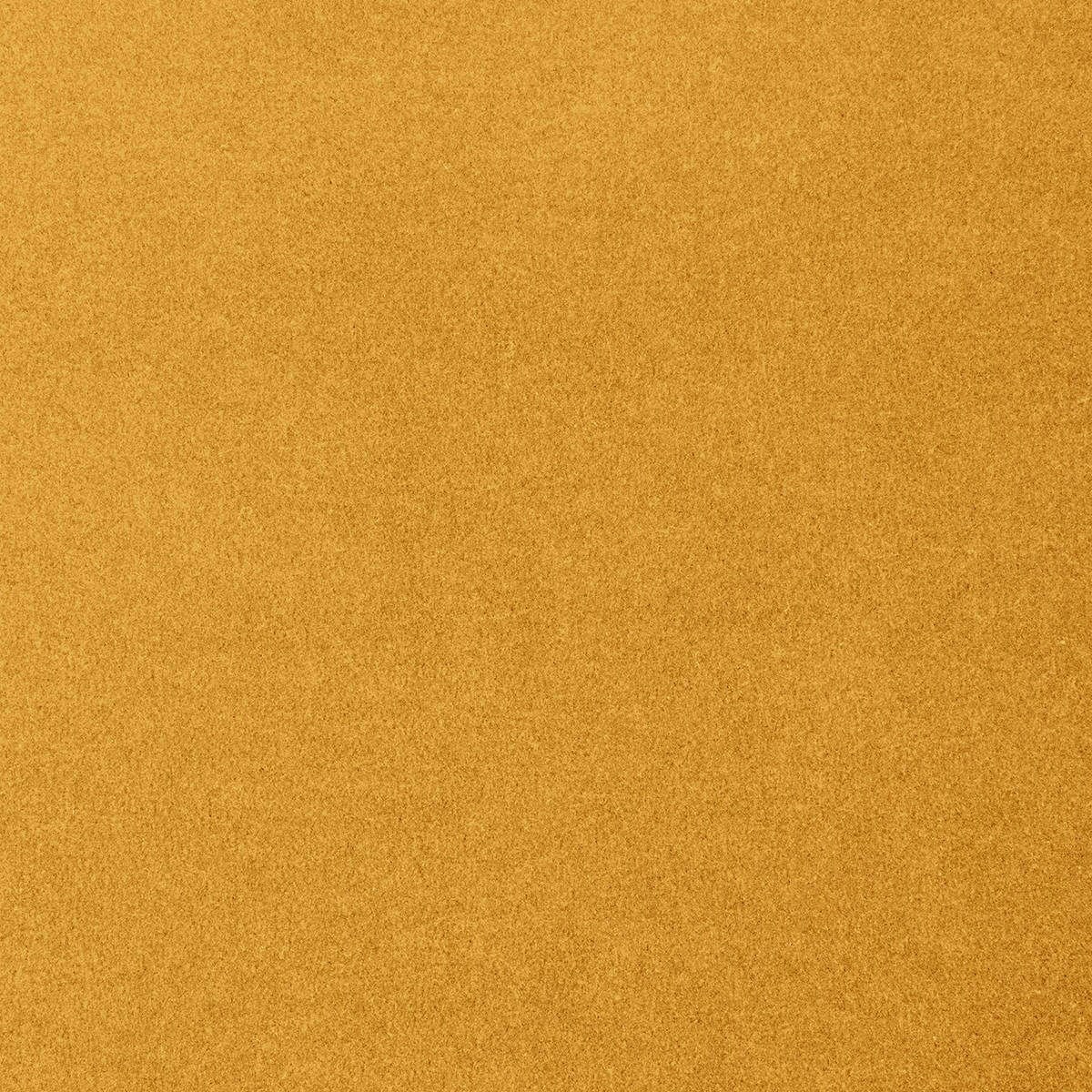 Heltäckningsmatta World Life Feeling 54 500cm, Gul