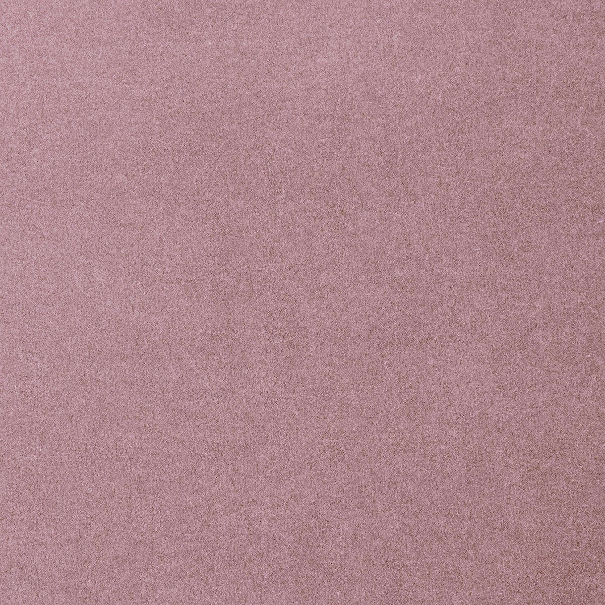 Heltäckningsmatta Sweet Life Feeling 67 500cm, Lila