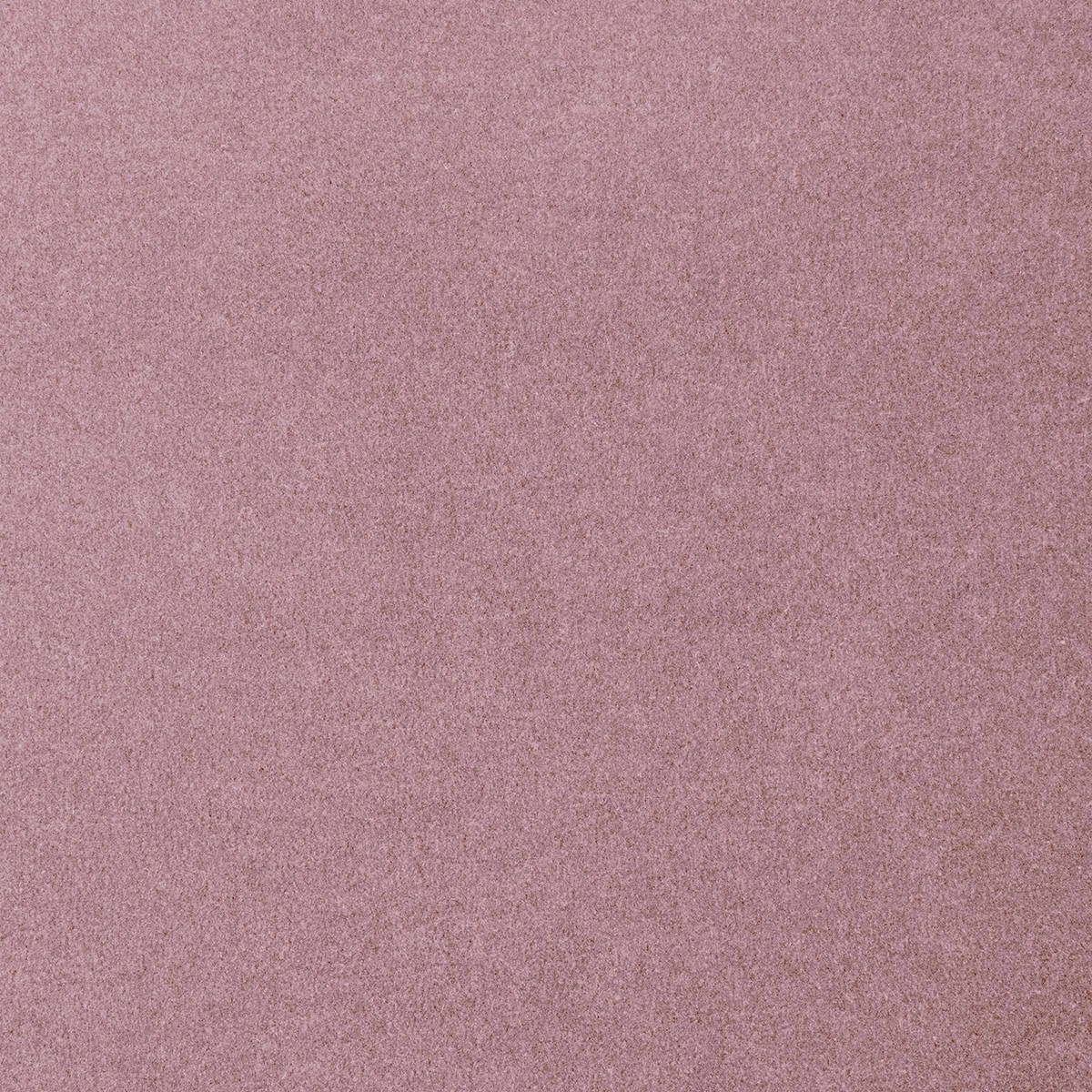 Heltäckningsmatta Sweet Life Feeling 67 400cm, Lila