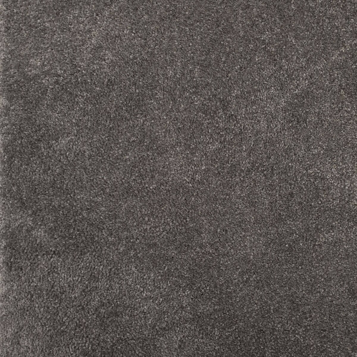 Heltäckningsmatta Invictus Magnificus 98 400cm, Mörkgrå