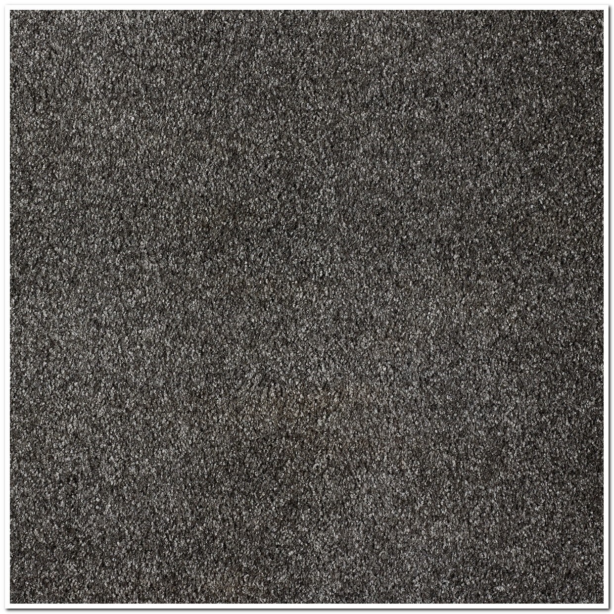 Heltäckningsmatta Sedna Ocean 98 500cm, Mörkgrå