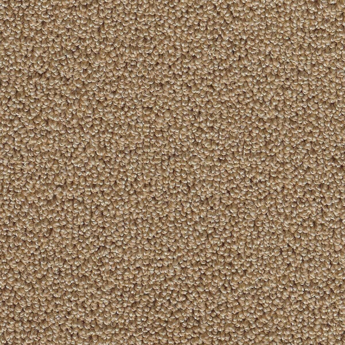 Heltäckningsmatta Simple Life Pride 34 500cm, Orange