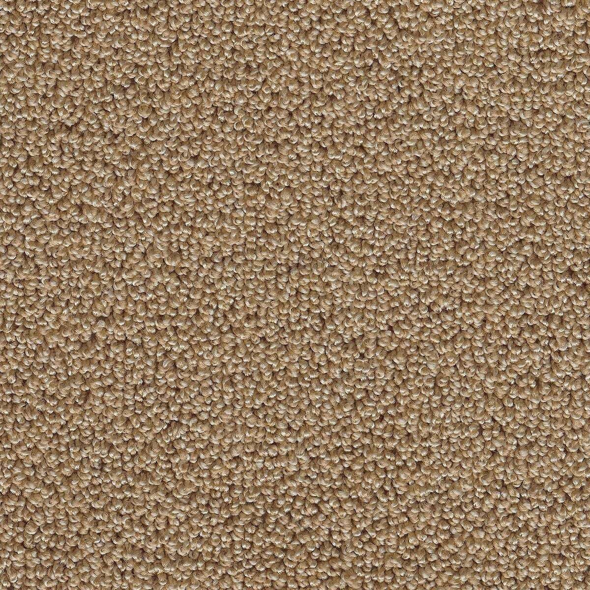 Heltäckningsmatta Simple Life Pride 34 400cm, Orange