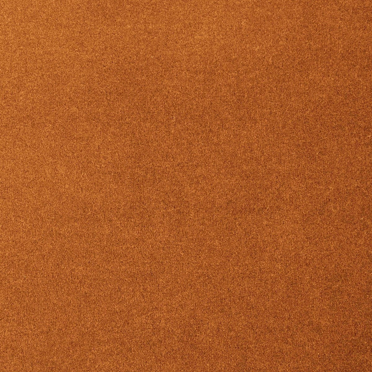 Heltäckningsmatta World Life Feeling 84 500cm, Orange