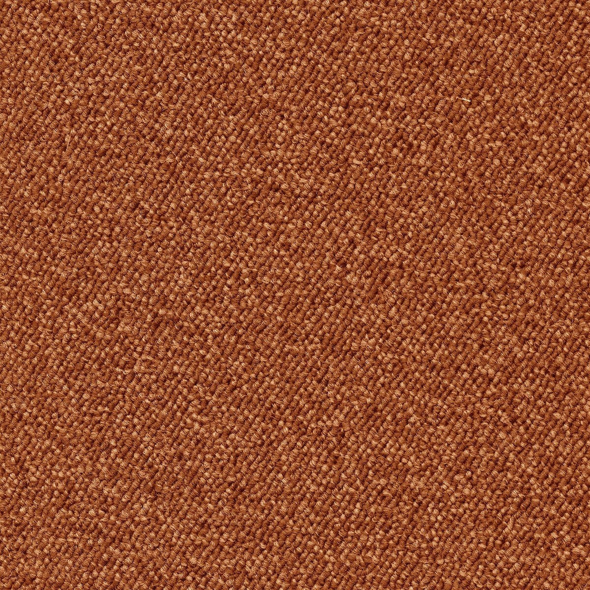 Heltäckningsmatta World Life Forza 85 500cm, Orange