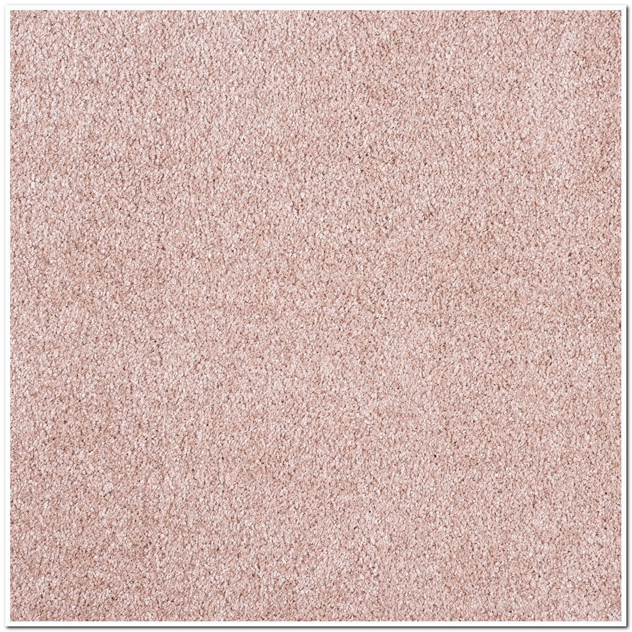 Heltäckningsmatta Sedna Ocean 16 500cm, Rosa