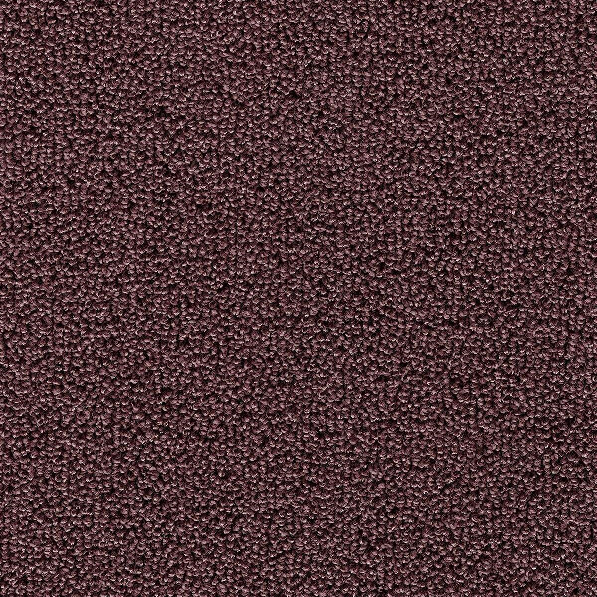 Heltäckningsmatta Sweet Life Pride 66 500cm, Rosa