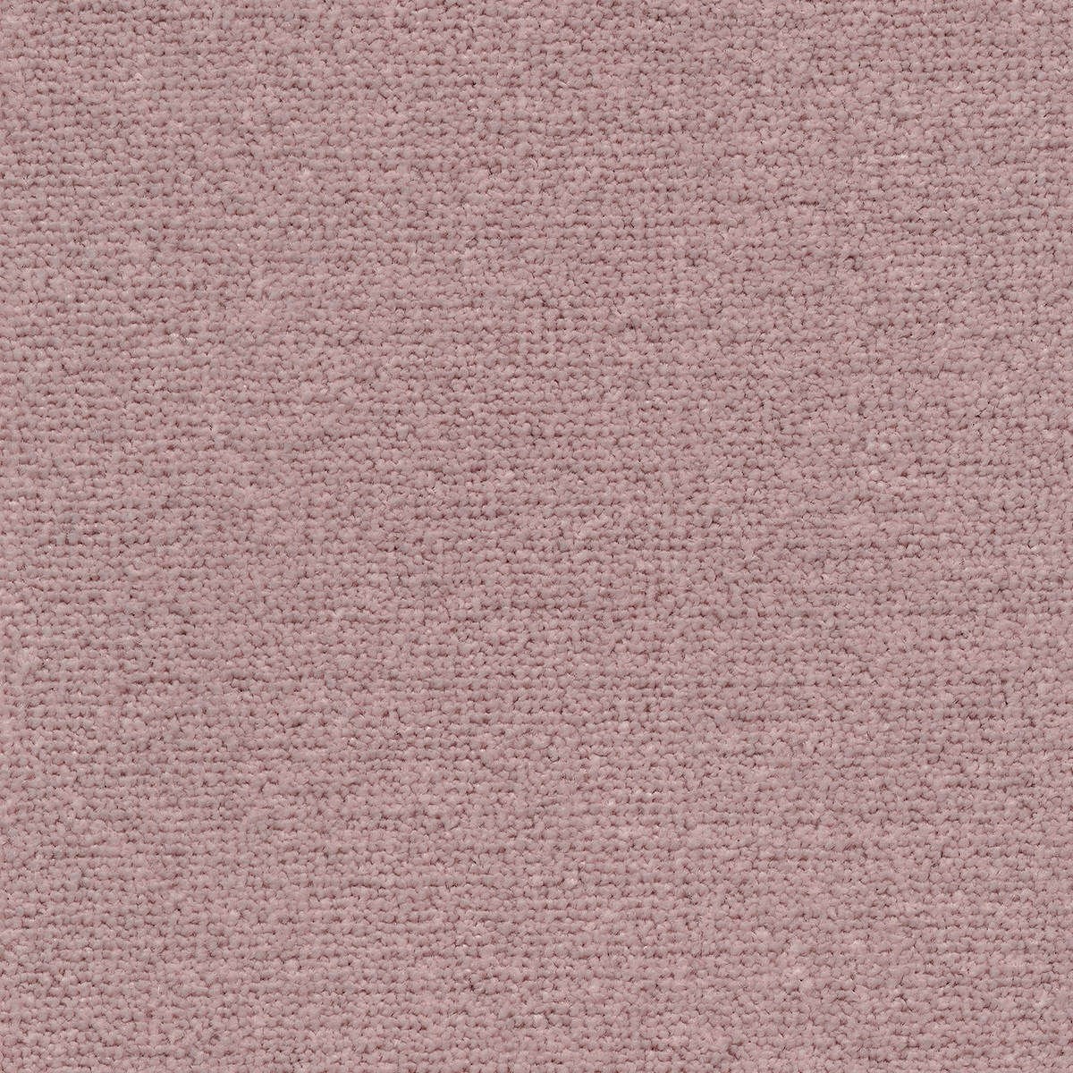 Heltäckningsmatta Sweet Life Triumph 67 500cm, Rosa