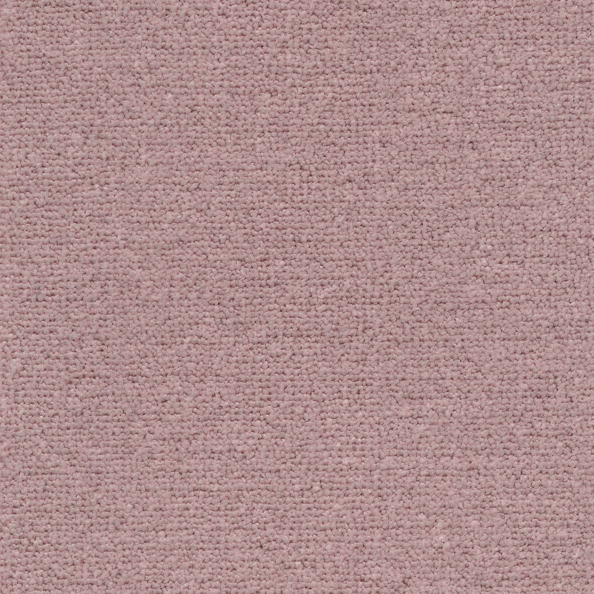 Heltäckningsmatta Sweet Life Triumph 67 400cm, Rosa