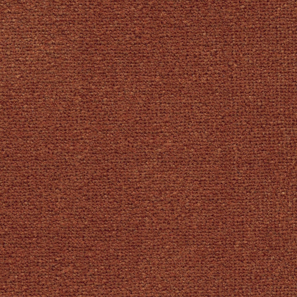 Heltäckningsmatta World Life Triumph 84 500cm, Röd