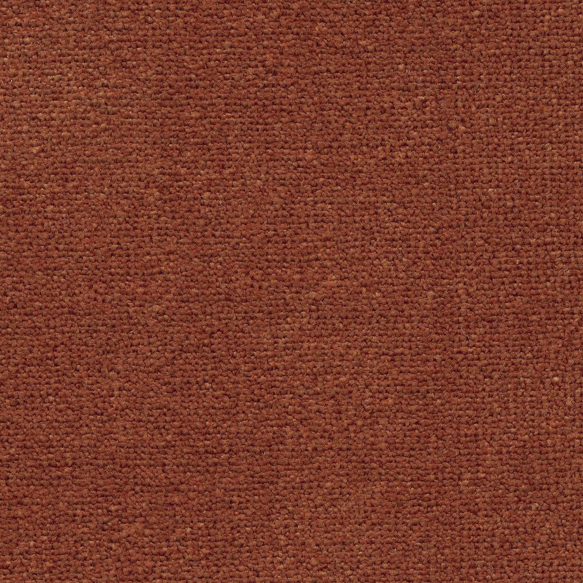 Heltäckningsmatta World Life Triumph 84 400cm, Röd