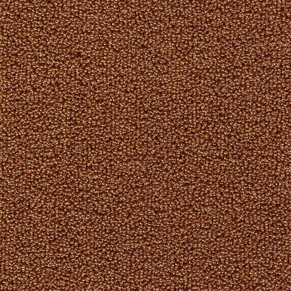 Heltäckningsmatta World Life Pride 85 500cm, Brun