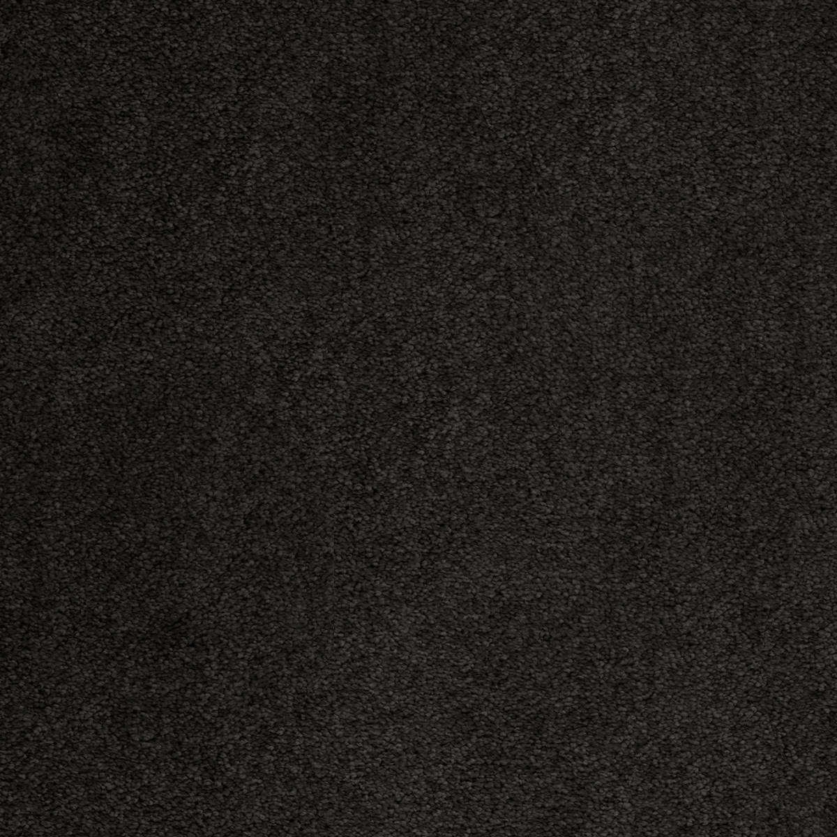 Heltäckningsmatta Sedna Kai 99 500cm, Svart