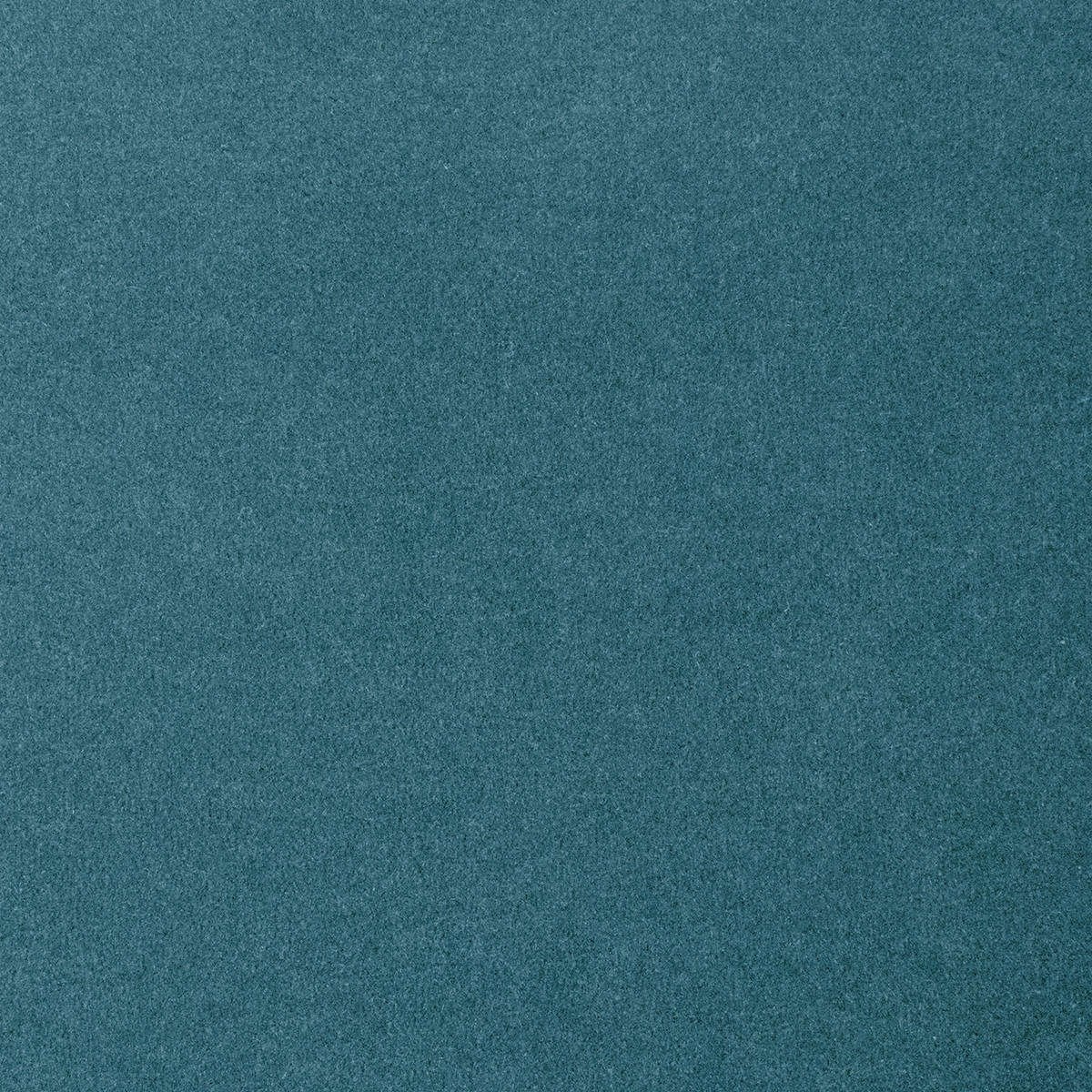 Heltäckningsmatta World Life Feeling 74 500cm, Turkos